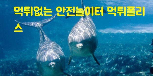 먹튀없는 안전놀이터 먹튀폴리스