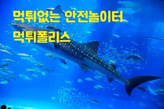 먹튀없는 안전놀이터 먹튀폴리스